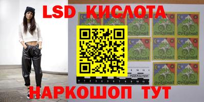 PSILOCYBIN Дубна