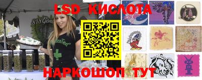 PSILOCYBIN Дубна